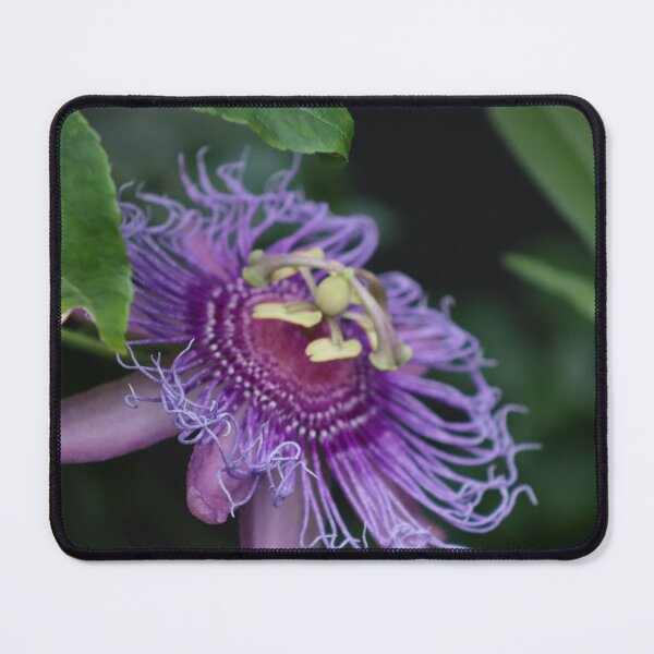 Item preview, Purple Flower designed and sold by Samuel Leavitt.
