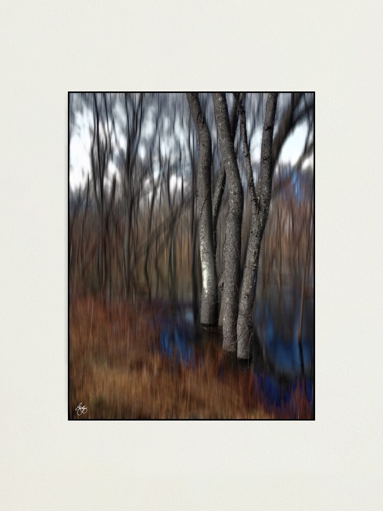 Alternate view of Spring Colors in a Floodplain Forest Photographic Print