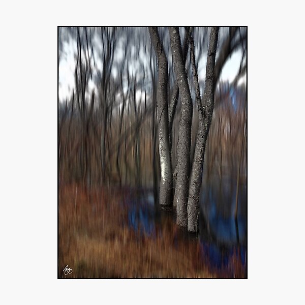 Spring Colors in a Floodplain Forest Photographic Print