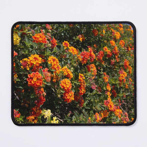Item preview, Flowers Lantana designed and sold by Wayne Thomson.