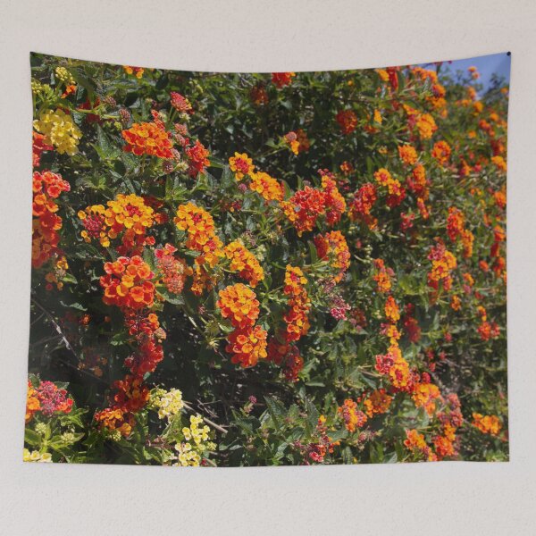 Item preview, Flowers Lantana designed and sold by Wayne Thomson.