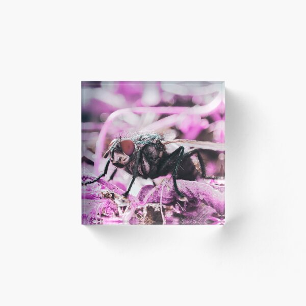 Item preview, @eyrabeats-shop: Scary Fly On Pink Flowers designed and sold by eyrabeats-shop.