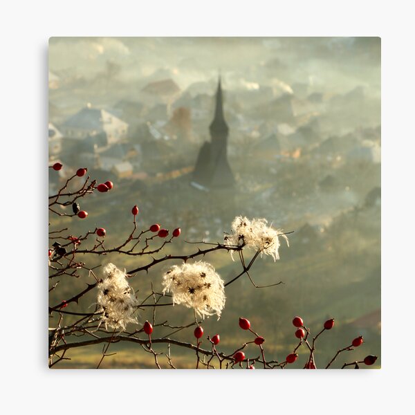 detail of a foggy morning... Canvas Print