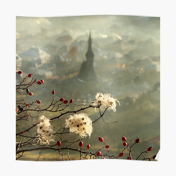 detail of a foggy morning... Poster