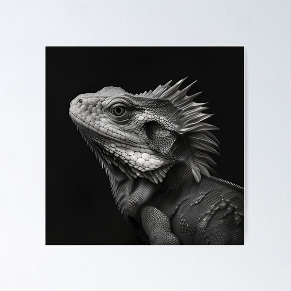 Item preview, Black and white Iguana drawing designed and sold by Pencil-Art.