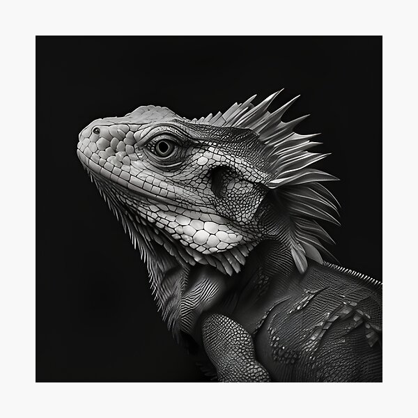 Item preview, Black and white Iguana drawing designed and sold by Pencil-Art.