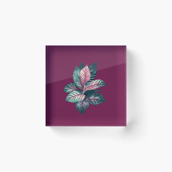 Item preview, cranky calathea watercolor designed and sold by tropi-cat.