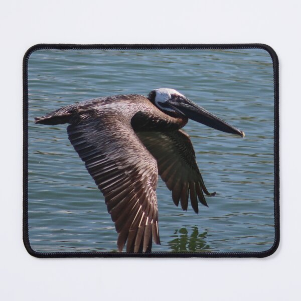 Item preview, Pelican designed and sold by Samuel Leavitt.