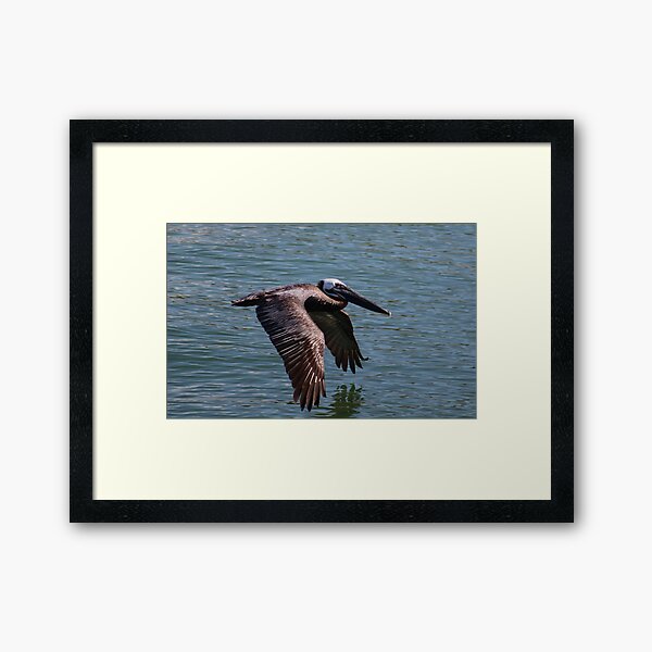 Item preview, Pelican designed and sold by Samuel Leavitt.