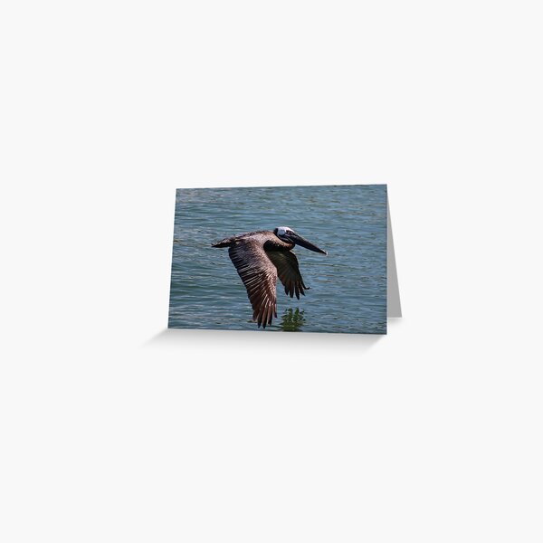 Item preview, Pelican designed and sold by Samuel Leavitt.