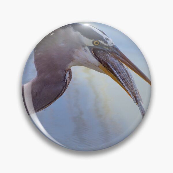 Item preview, Great Blue Heron swallowing a fish designed and sold by Zina Stromberg.