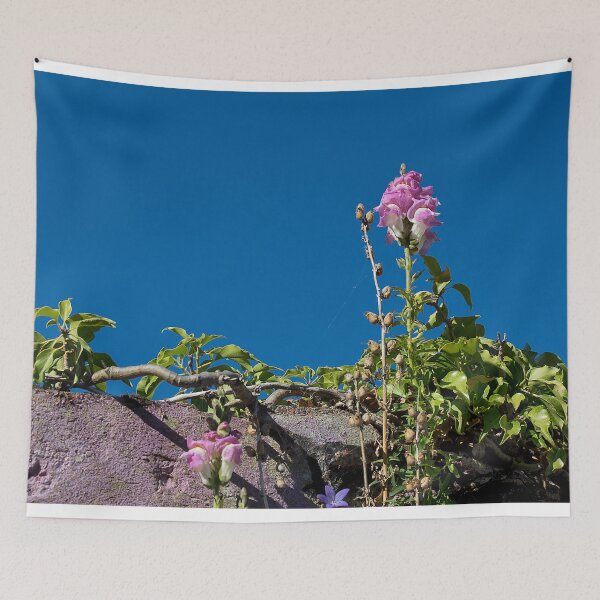 Aperçu de l'œuvre Snap Dragon et Deep Blue Sky créée et vendue par Violaman.