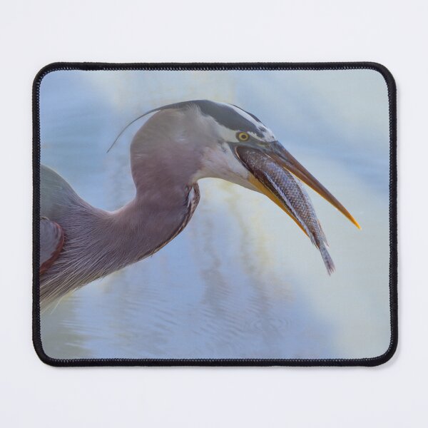 Item preview, Great Blue Heron swallowing a fish designed and sold by Zina Stromberg.