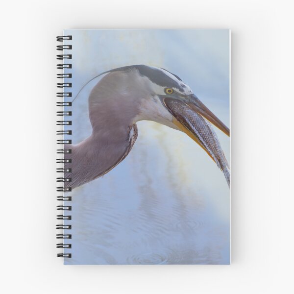 Item preview, Great Blue Heron swallowing a fish designed and sold by Zina Stromberg.