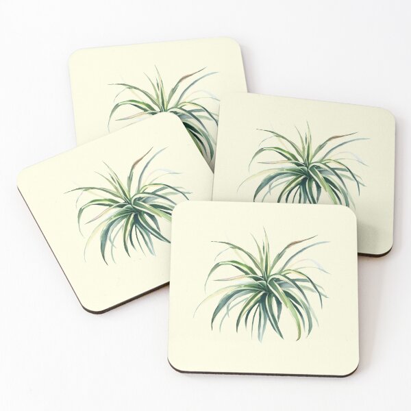 Item preview, silly spider plant watercolor designed and sold by tropi-cat.