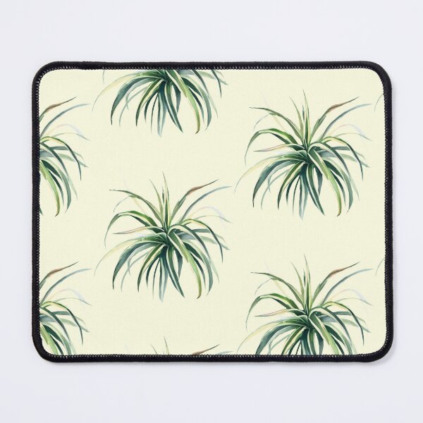 Item preview, silly spider plant watercolor designed and sold by tropi-cat.