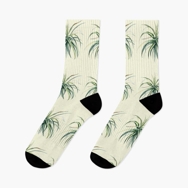 Item preview, silly spider plant watercolor designed and sold by tropi-cat.
