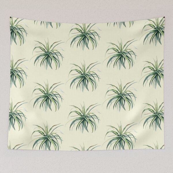 Item preview, silly spider plant watercolor designed and sold by tropi-cat.