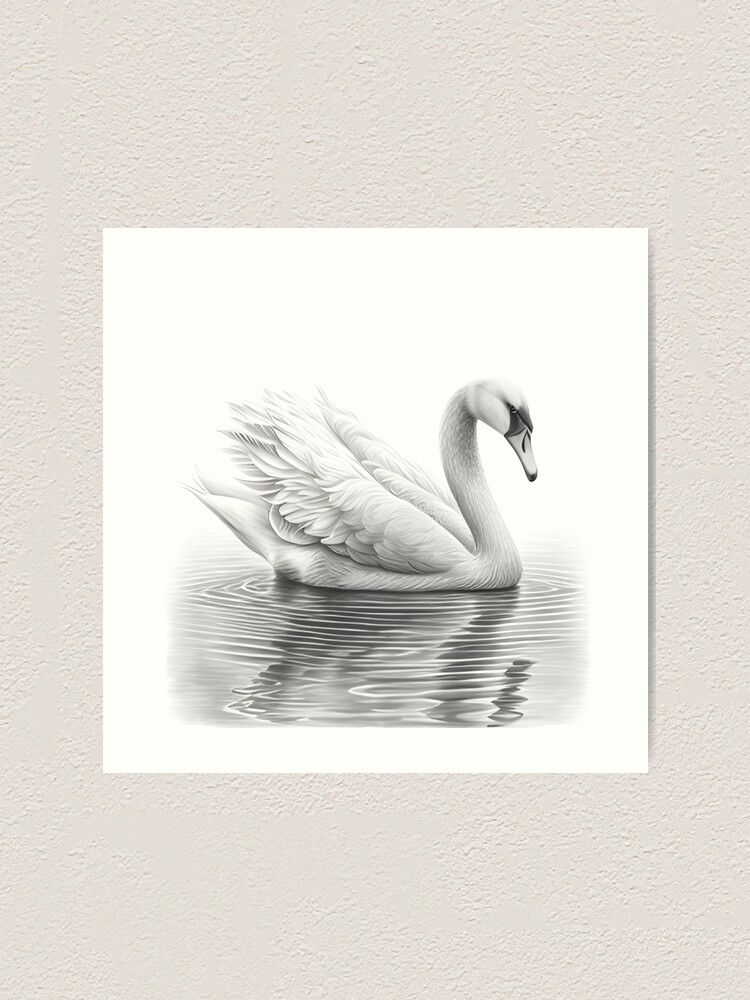 Black and white swan drawing. - ReusableArt.com