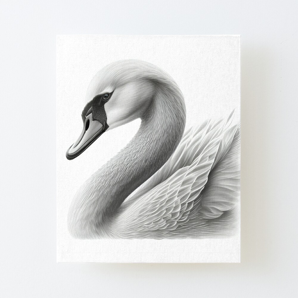 Vector Ink Sketch Swan. Royalty Free SVG, Cliparts, Vectors, and Stock  Illustration. Image 92430146.
