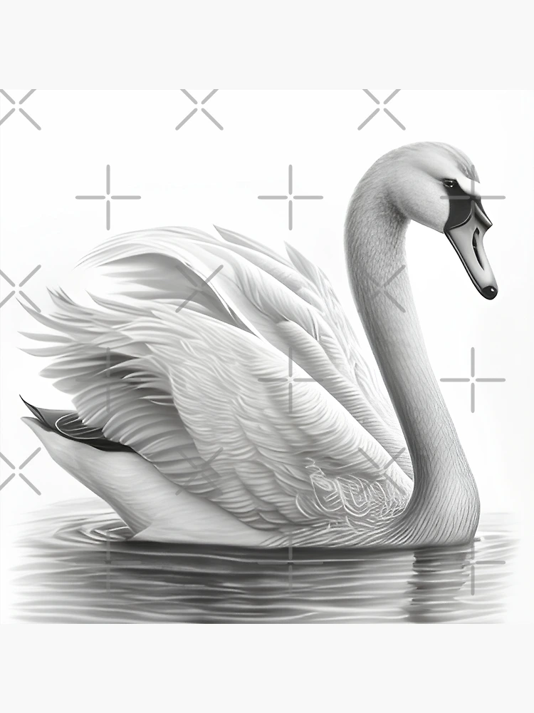 opinions on my swan drawing? : r/teenagers