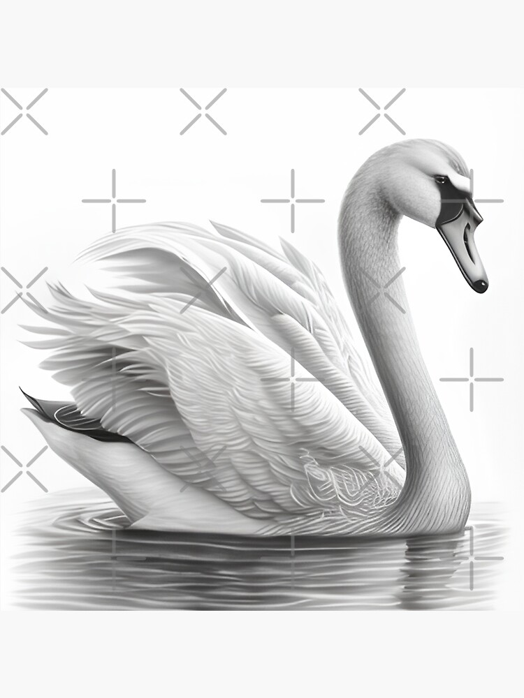 Swan drawing Vector illustration isolated swan in black and white colors  outline hand painted drawing  CanStock