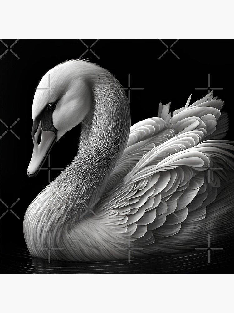 Swan Drawing Pic - Drawing Skill