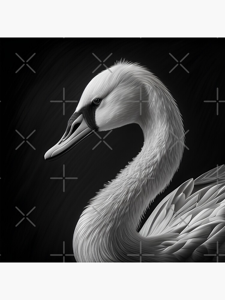 Sticker for Sale avec l uvre Dessin de cygne noir et blanc de