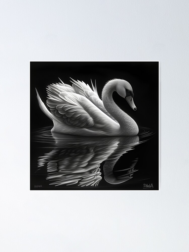 Poster for Sale avec l uvre Dessin de cygne noir et blanc de