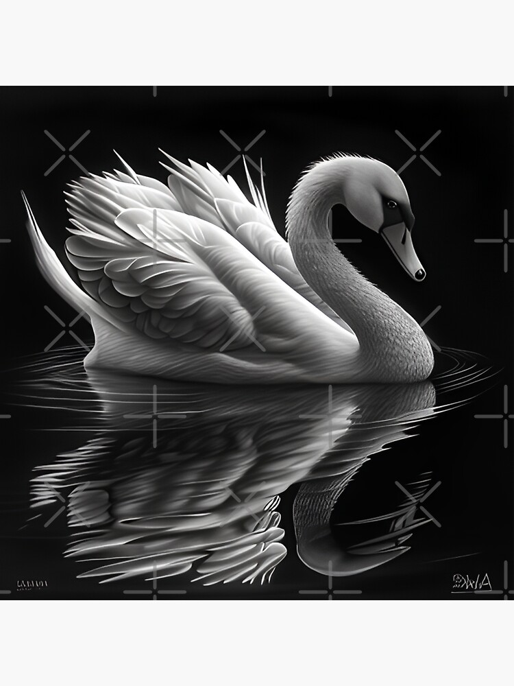 Prime Home Decor swan Drawing Floating on Water Wall Sticker : Amazon.in:  Home Improvement