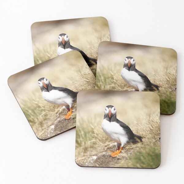 Item preview, Posing Puffin designed and sold by MartinPhotos.