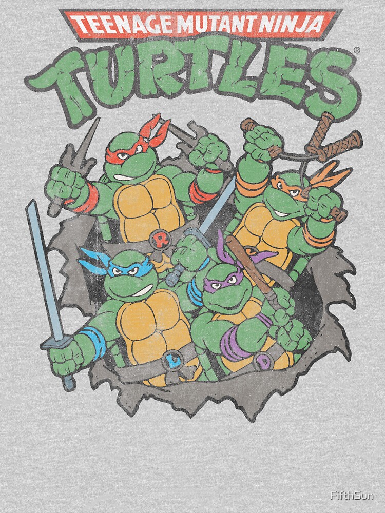 Teeange Mutant Ninja Turtles Distressed Group Kids Sweatshirt - Shirtstore
