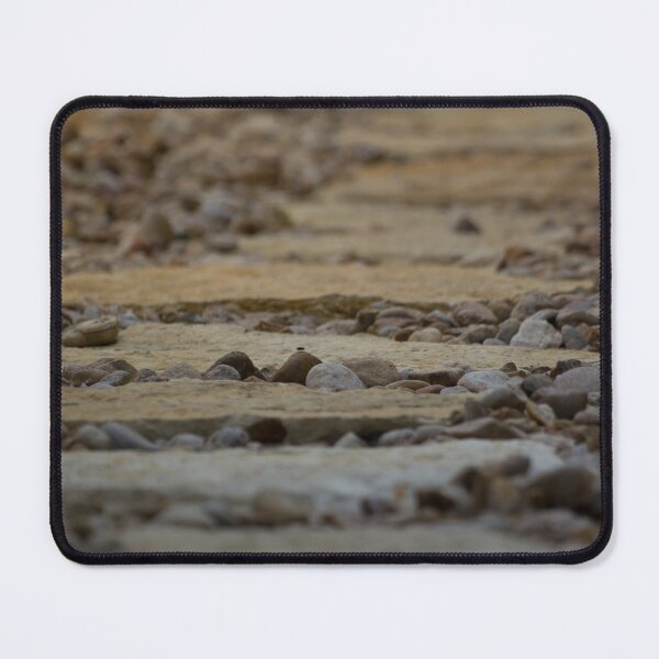 Item preview, Fly resting on a rock designed and sold by Shizenkai.