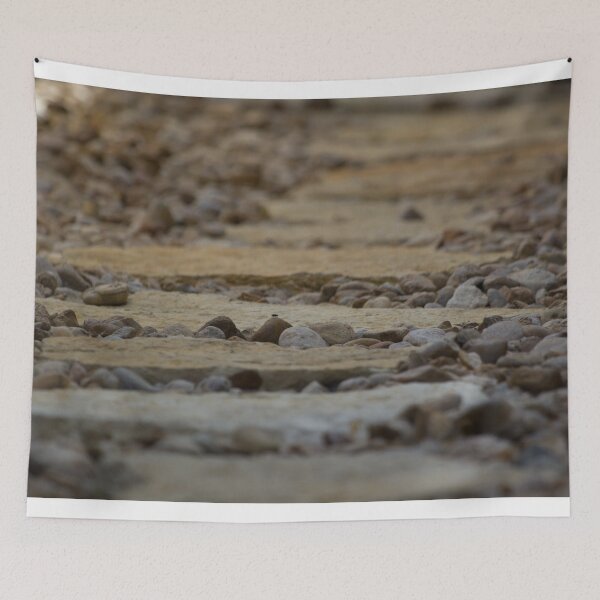 Item preview, Fly resting on a rock designed and sold by Shizenkai.