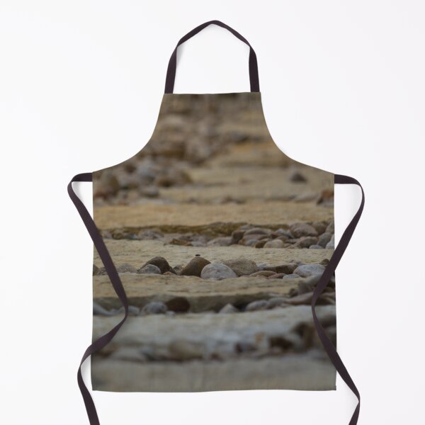 Item preview, Fly resting on a rock designed and sold by Shizenkai.