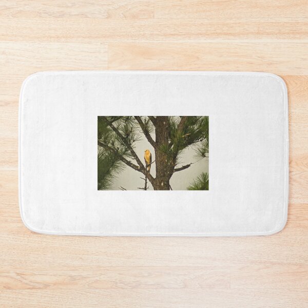 Item preview, kla eagle designed and sold by pcfyi.