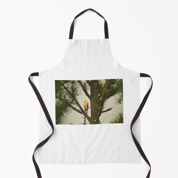 Item preview, kla eagle designed and sold by pcfyi.