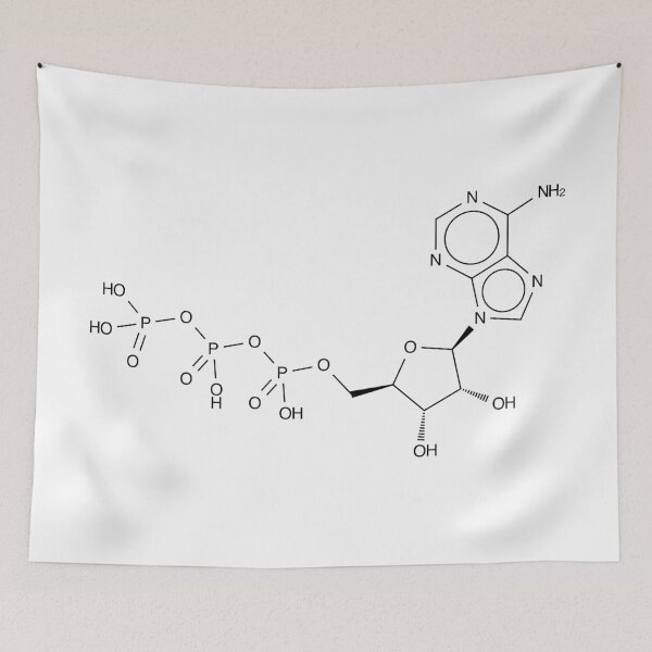 Artikelvorschau, Adenosine Triphosphate Chemical Molecule Structure entworfen und verkauft von Girih.