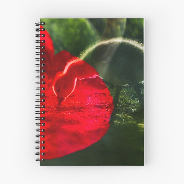 Item preview, Fledgling designed and sold by Elliot L..