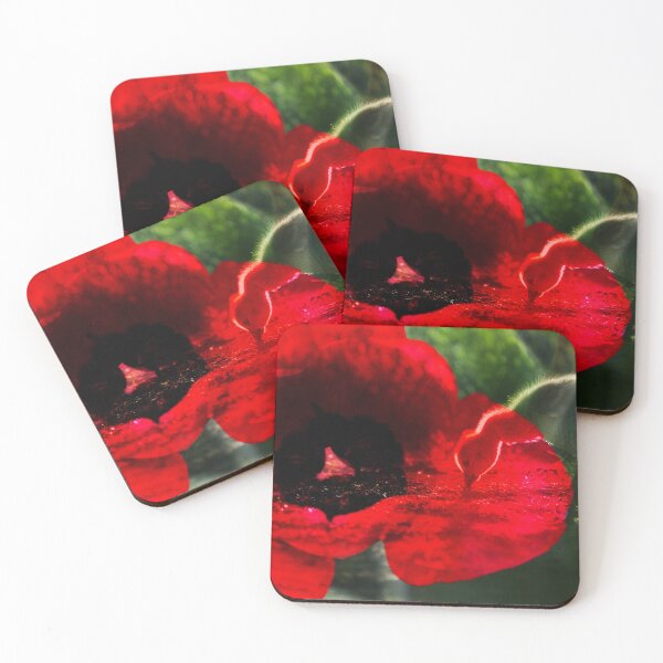 Item preview, Fledgling designed and sold by Elliot L..