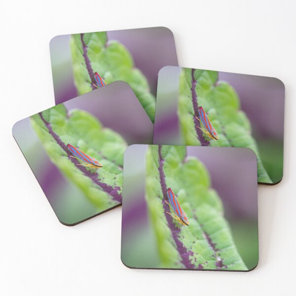Item preview, Close Up of a Candy-striped Leafhopper on a Coleus Leaf designed and sold by vryandesigns.