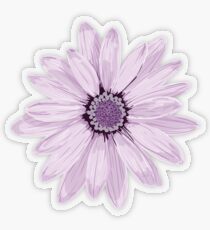 Lila Gänseblümchen Transparenter Sticker