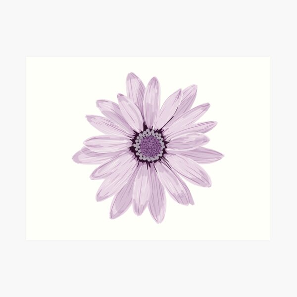 Purple Daisy Art Print