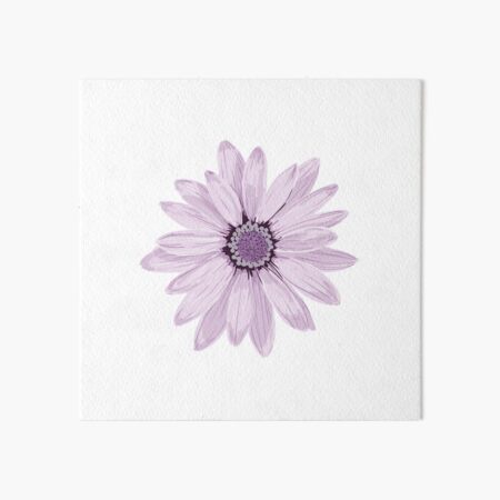 Purple Daisy Art Board Print