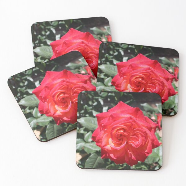 Item preview, Flaming Red Rose designed and sold by BattlefoxxEarth.