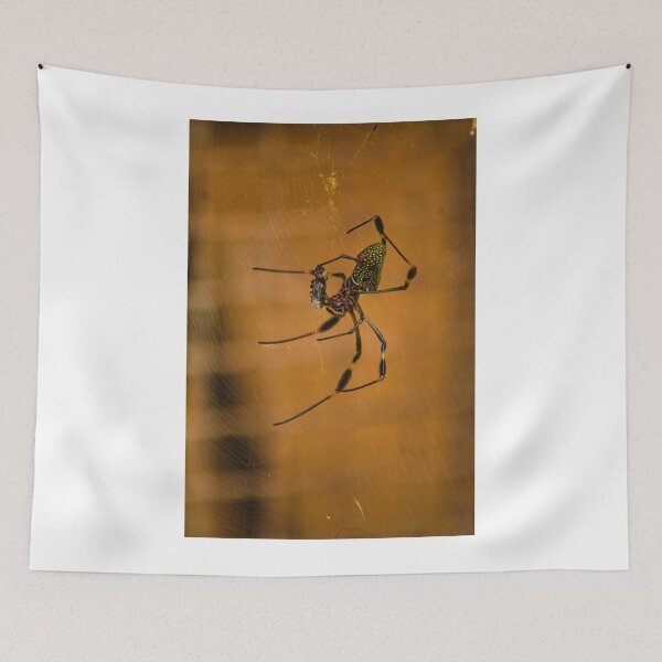 Item preview, kla orb weaver designed and sold by pcfyi.