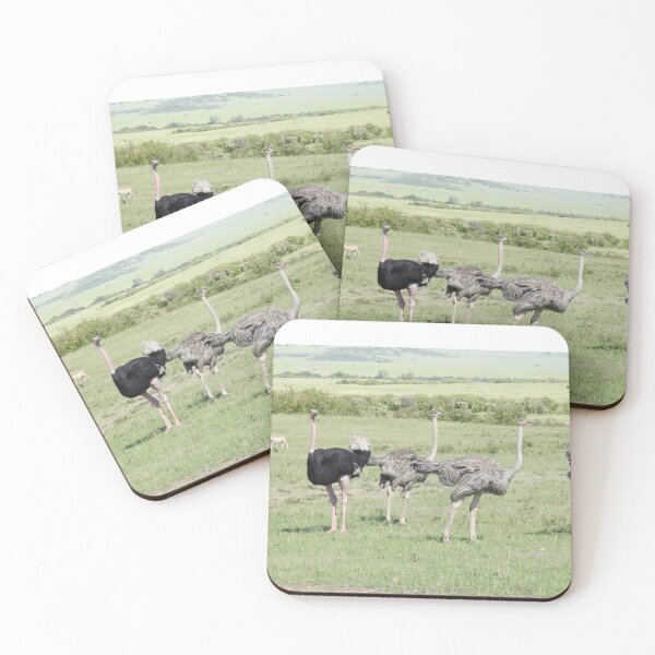 Item preview, Wild Ostrich in Africa designed and sold by Faunagraphy360.