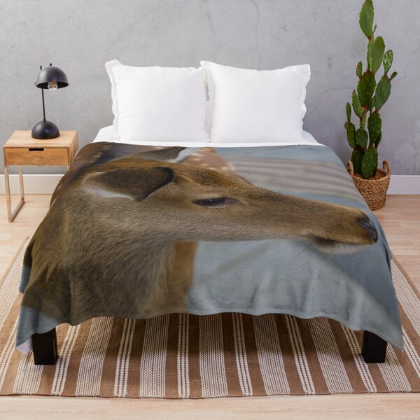 Item preview, Close up of a deer designed and sold by Shizenkai.