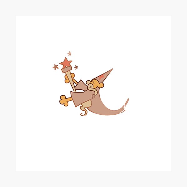 Wizard Fly Photographic Print