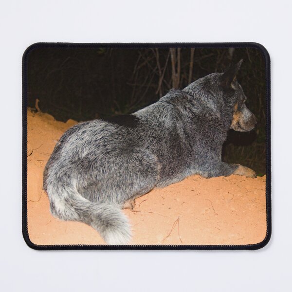 Item preview, kla night watch designed and sold by pcfyi.
